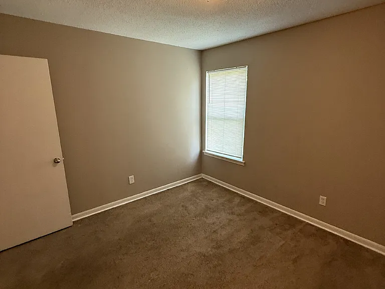 3386 Spring Water Cv — Photo 24