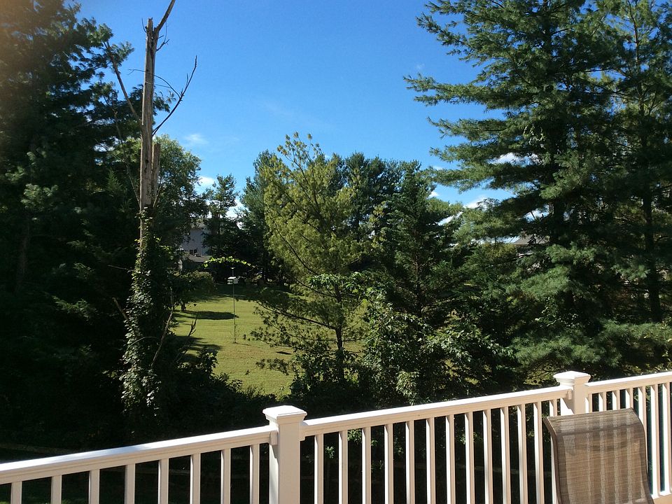 View from .deck