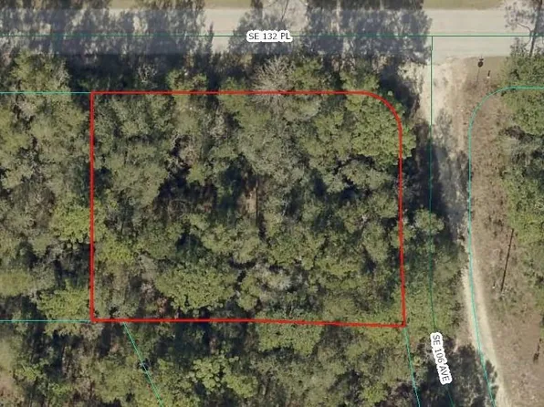 00 SE 132ND PLACE LOT 11, OCKLAWAHA, FL 32179
