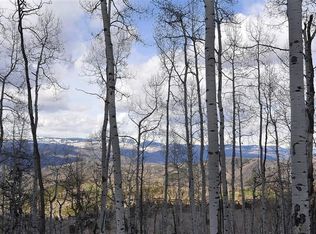 1069 Forest Trl, Edwards, CO 81632