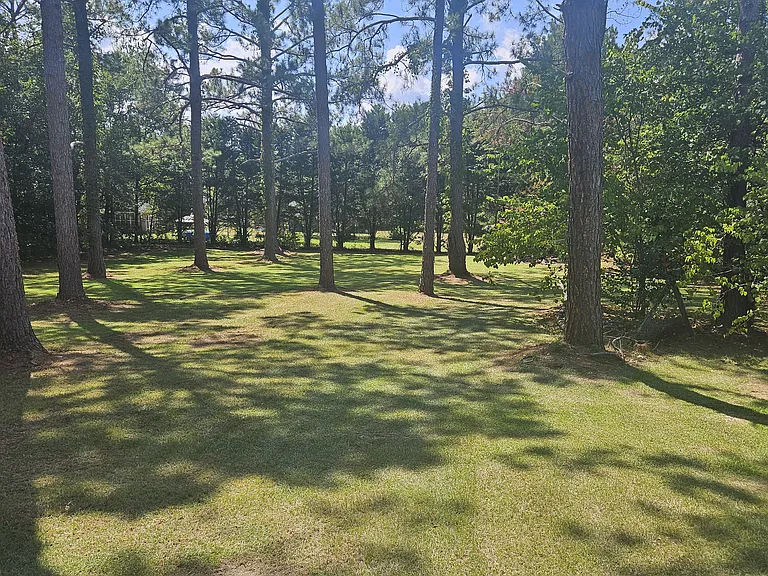 202 Dunaway Dr — Photo 7