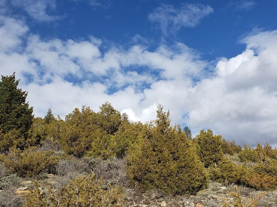 2068 Gcr 19, Kremmling, CO 80459 MLS 22441 Zillow