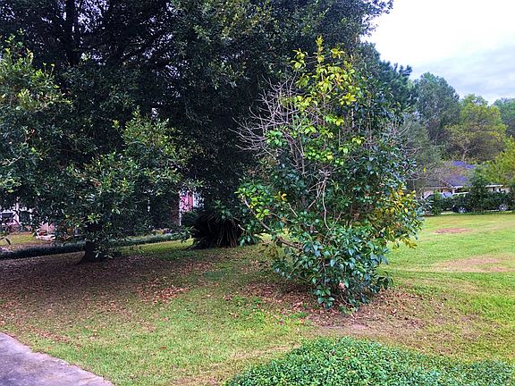 2nd image of 4124 Clay Dr