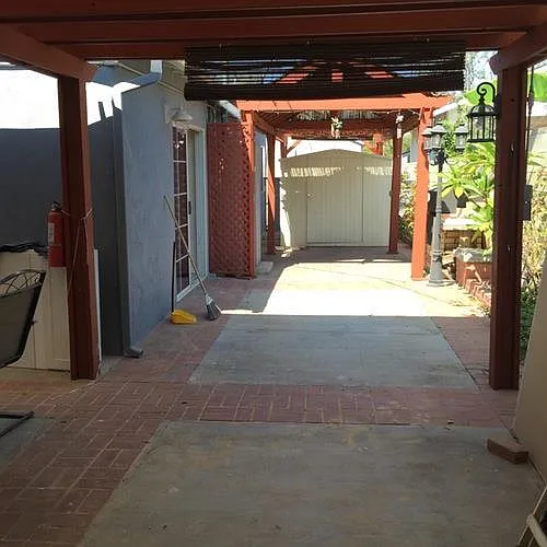 Back yard