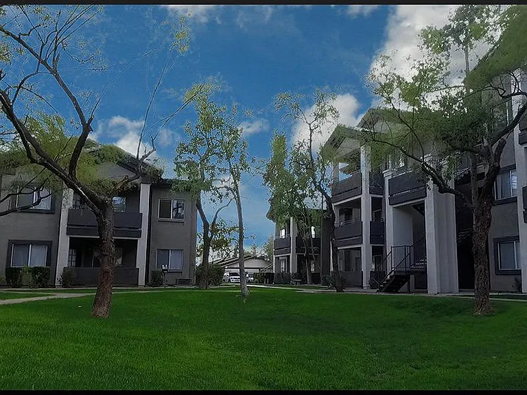 Lindsay Palms — Photo 11