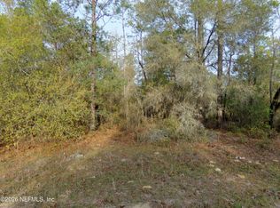 111 BRASS Street, Interlachen, FL 32148