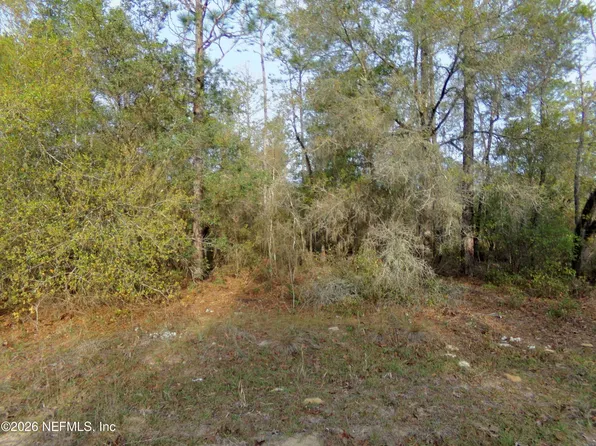 111 BRASS Street, Interlachen, FL 32148