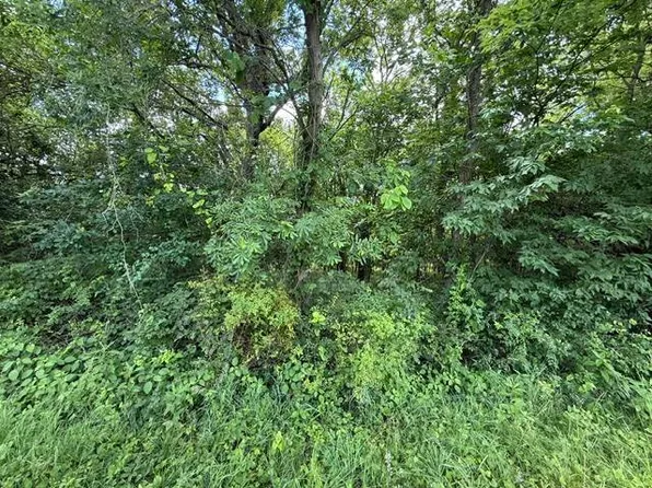 Tbp 69 Hwy, Cameron, MO 64429