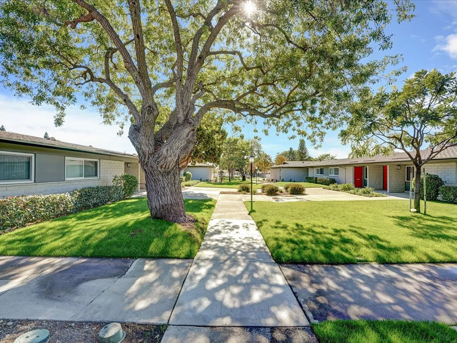 The Pines Apartments — Photo 4