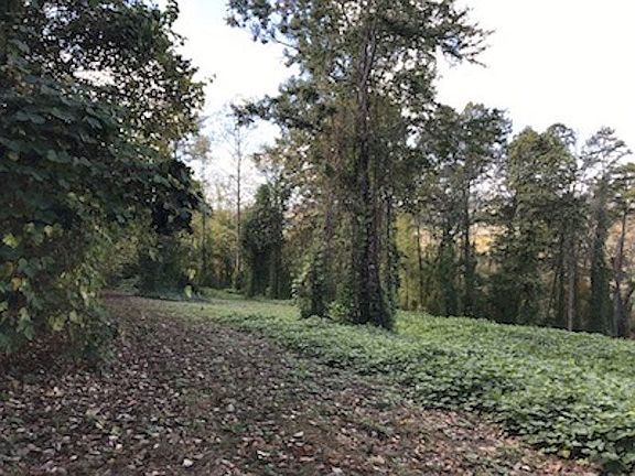 3rd image of 9715 Blue Springs Pkwy