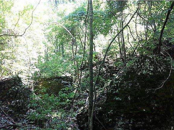 4th image of N Highway 59