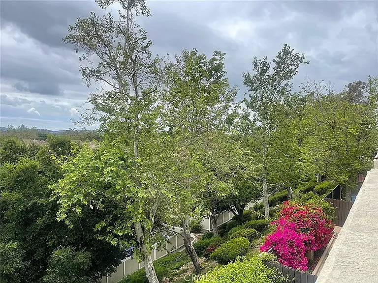 25244 Birch Grove Ln — Photo 3