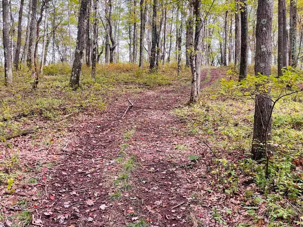 Graham Ln, Terra Alta, WV 26764