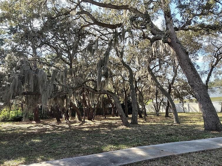 1st image of 1603 Gulf Beach Blvd