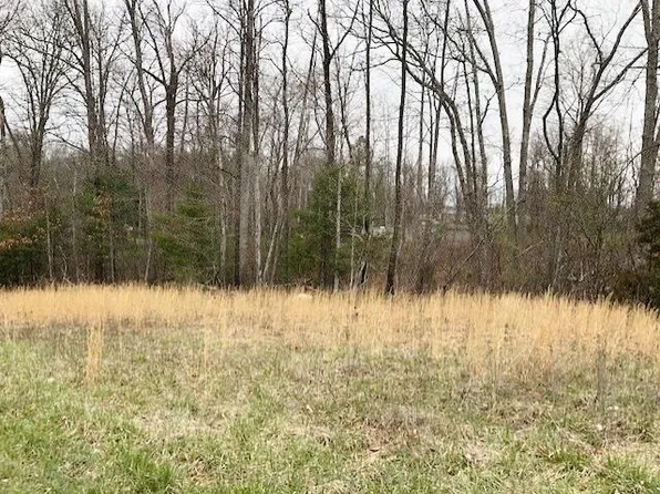 Della Ln, Austinville, VA 24312