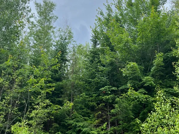 Lot 3 Cobblestone Ridge Subdivision, Milford, ME 04461