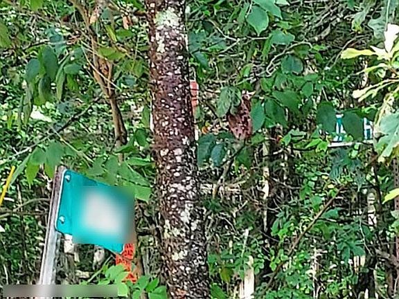 5th image of 9584 Lafever Rd