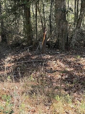 2nd image of O'Simmons Rd