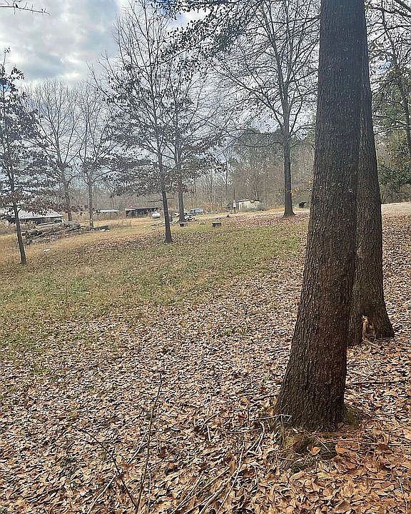 1st image of Mount Olive Cir