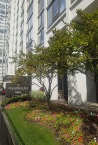 5445 N Sheridan Rd APT 3910, Chicago, IL, 60640