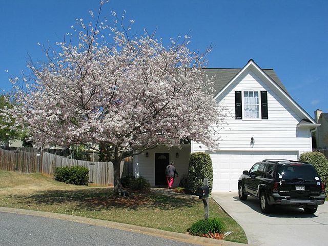 1st image of 3106 Ballet Ct SE