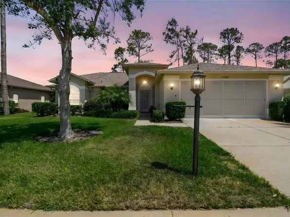 11147 Brambleleaf Way, Hudson, FL 34667