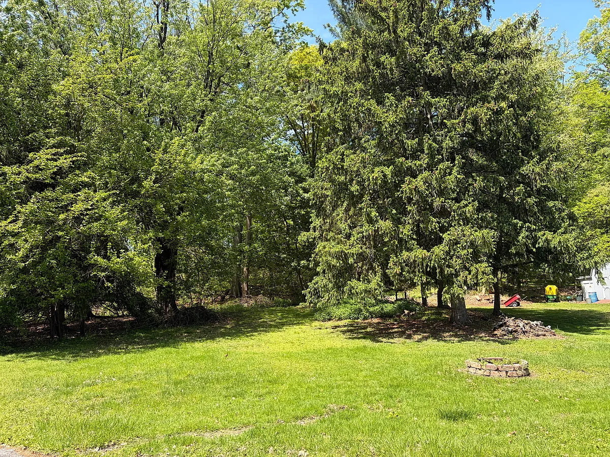 Backyard, fire pit - 2556 Willow St