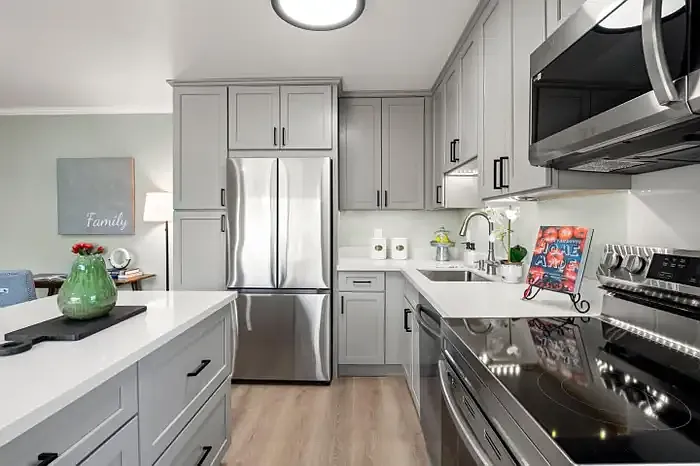 1 bed, 630 sqft, $3,000 — Photo 2