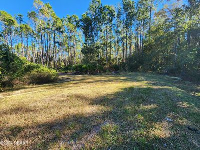 5356 Nutwood Ave, Bunnell, FL, 32110