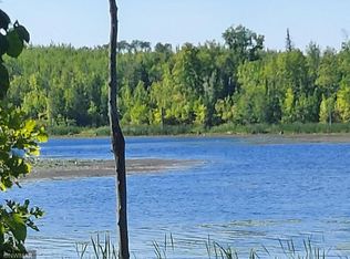 12313 Highway 46, Northome, MN 56661