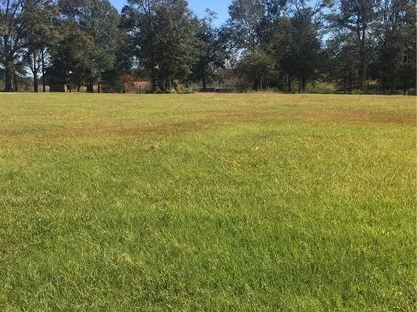10 High Way, Franklinton, LA 70438