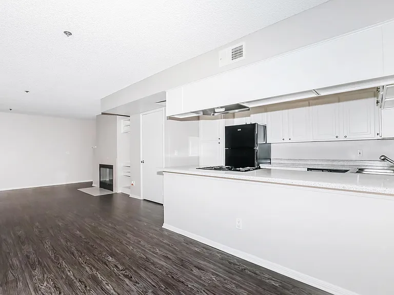 Living Area / Kitchen