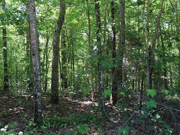 Img 3167