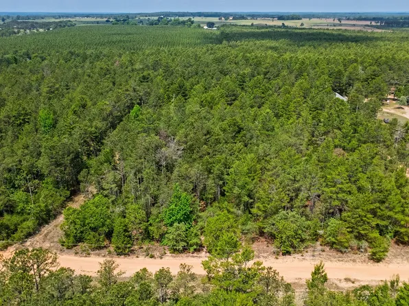 0 Allen Dr, Mauk, GA 31058