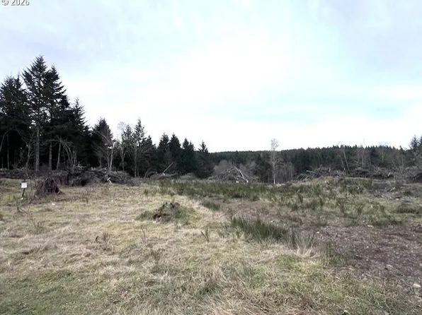 Cochran Rd, Timber, OR 97144