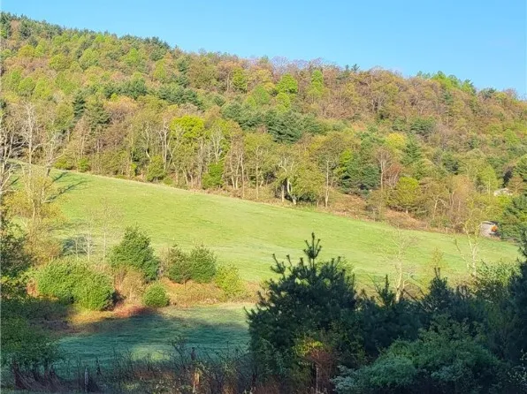 TBD Park Vista Road, West Jefferson, NC 28694