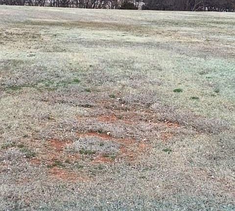 4th image of 22001 Cricklewood Ct Lot 10