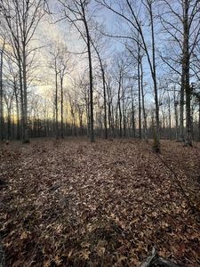 0 Three Rivers Dr LOT 132, Hurricane Mills, TN, 37078