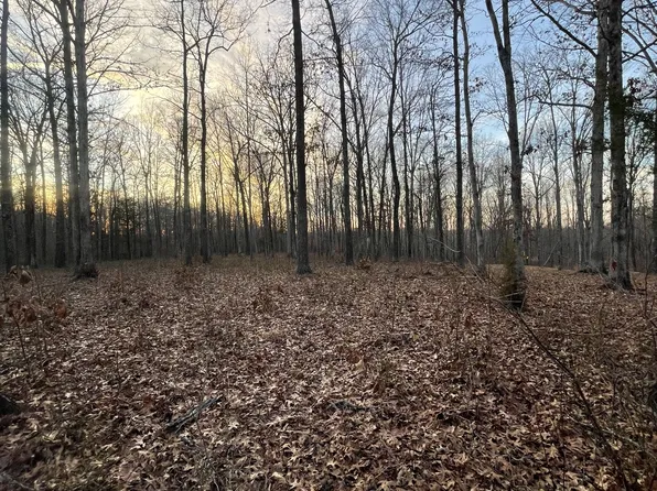 0 Three Rivers Dr Lot 132, Hurricane Mills, TN 37078