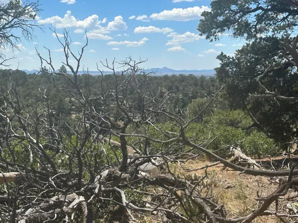 27 N Ranchero Rd, Pie Town, NM 87827