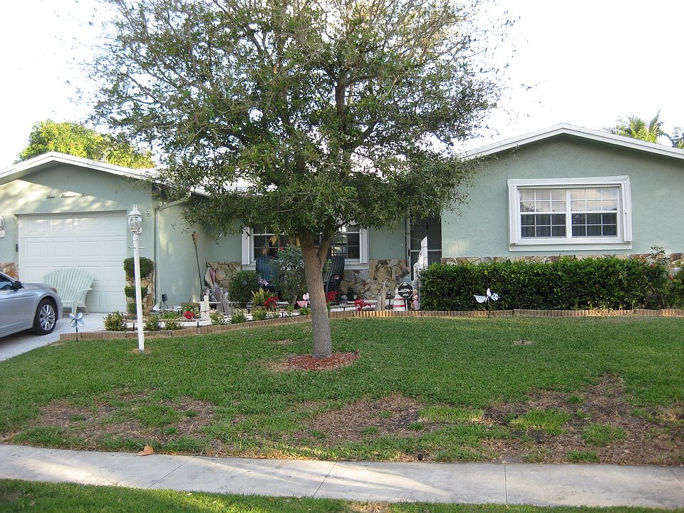 Beautiful oak tree in front yard