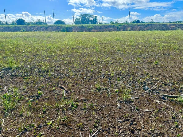 5130 Olali Pl Lot 13, Hilo, HI 96720