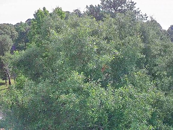 2nd image of 0 N Highway 341 #246