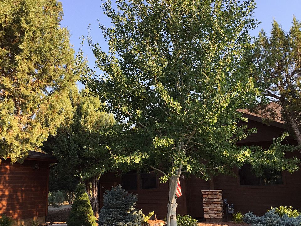 Front and walkway