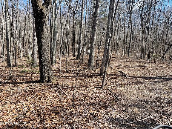 5th image of 448 Otis Davis Rd