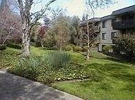 1st image of 1354 Shelter Creek Ln