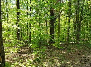 0 Penny Settlement Rd #1, Pt Leyden, NY 13433