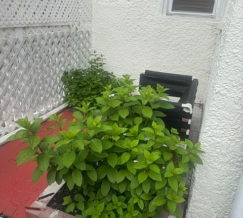 5th image of 2717 Girard Ave S APT 102