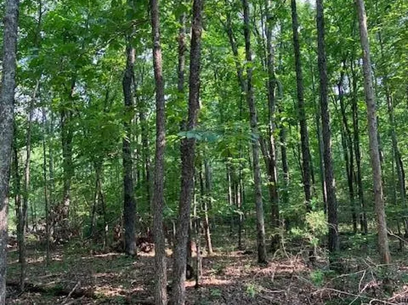 17 Simms Rd, Park Hills, MO 63601