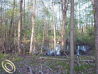 2nd image of 6250 Golf Club Rd